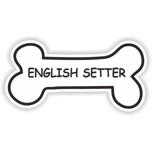 English Setter