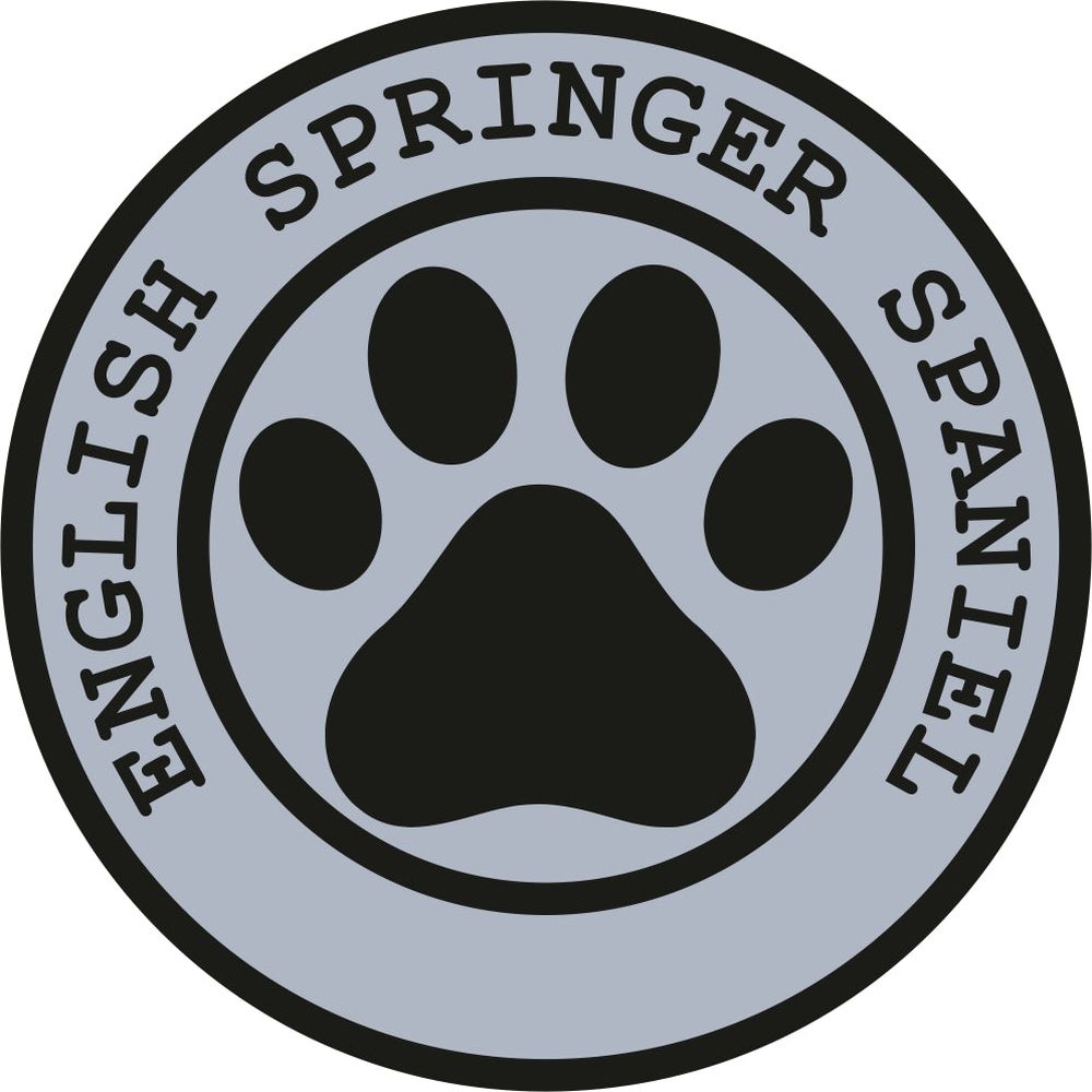 English Springer Spaniel