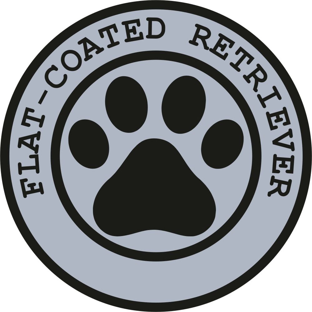 Flat-Coated Retriever