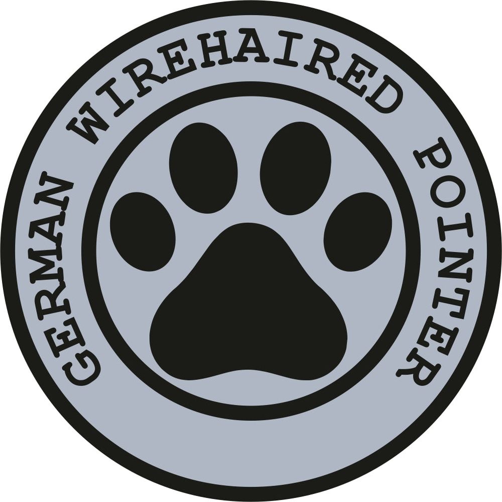 German Wirehaired Pointer