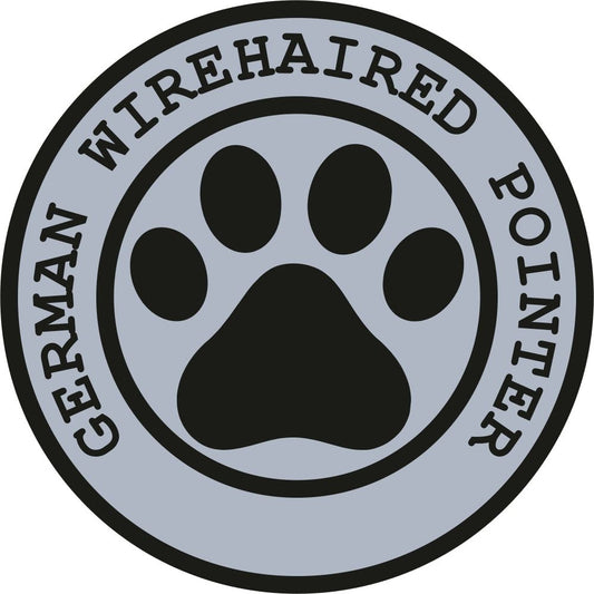 German Wirehaired Pointer