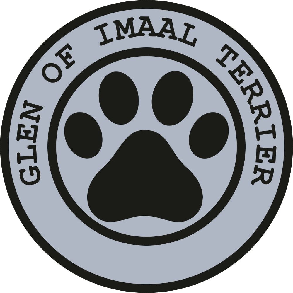 Glen Of Imaal Terrier