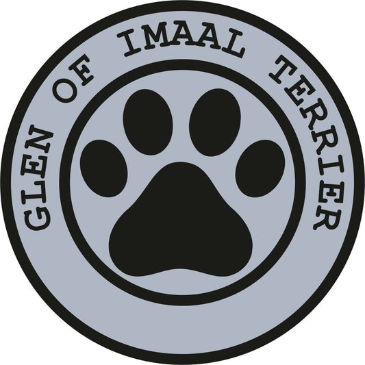 Glen Of Imaal Terrier