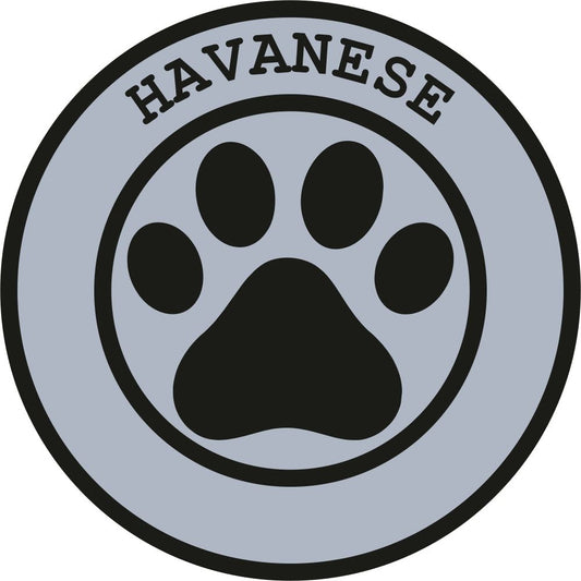 Havanese