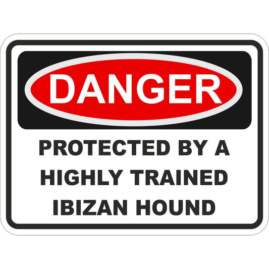 Ibizan Hound