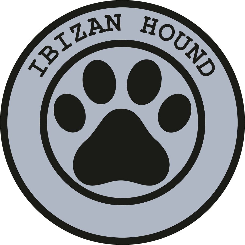 Ibizan Hound