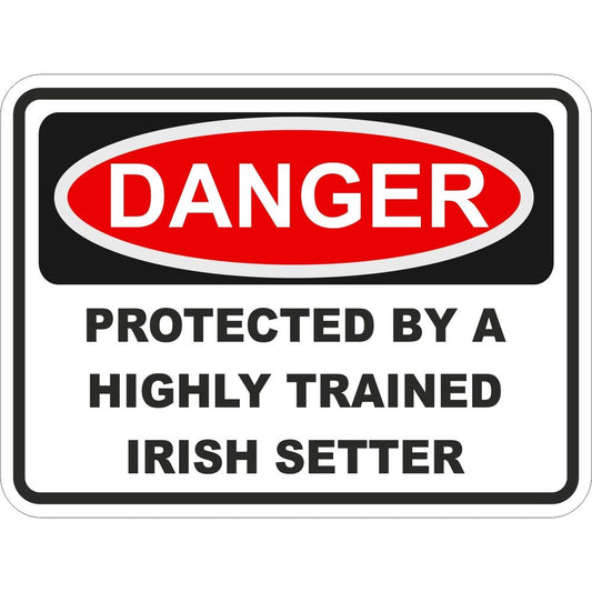 Irish Setter