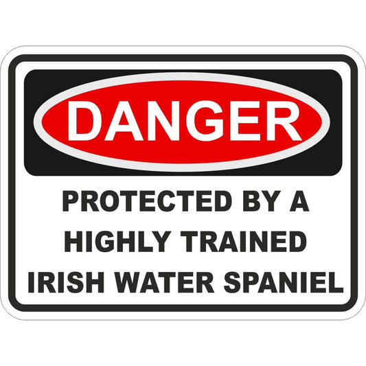 Irish Water Spaniel
