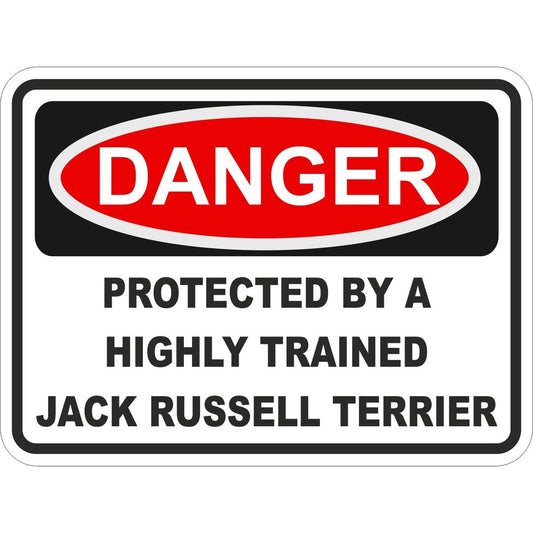 Jack Russell Terrier