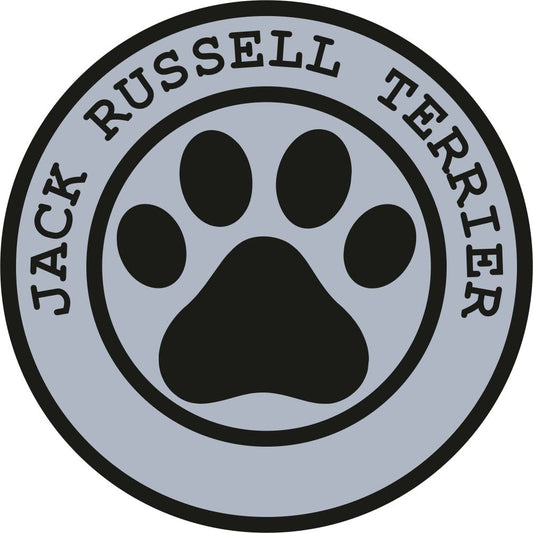 Jack Russell Terrier