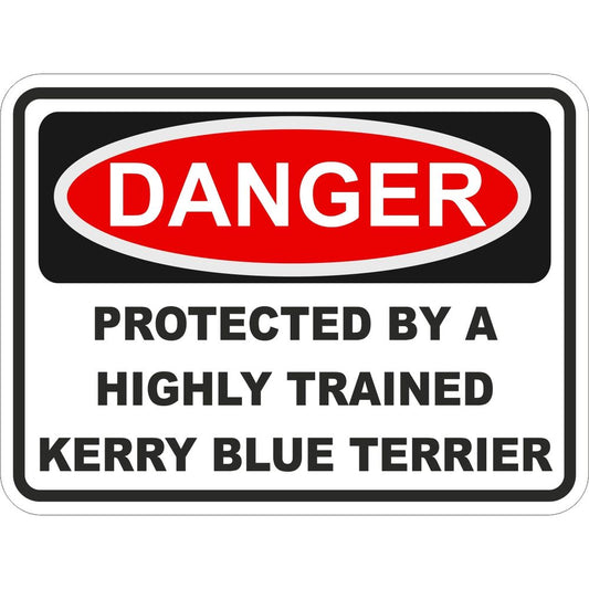 Kerry Blue Terrier
