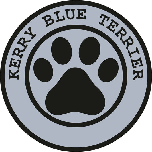 Kerry Blue Terrier