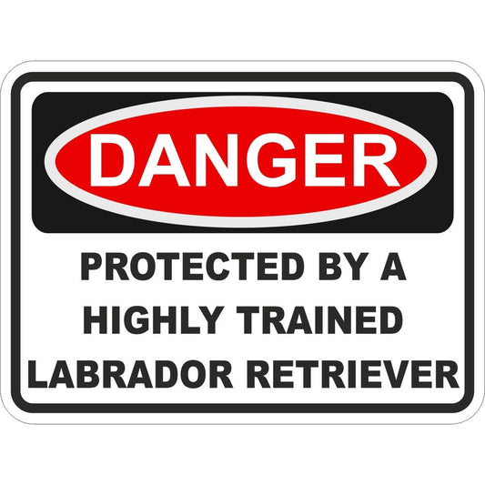 Labrador Retriever