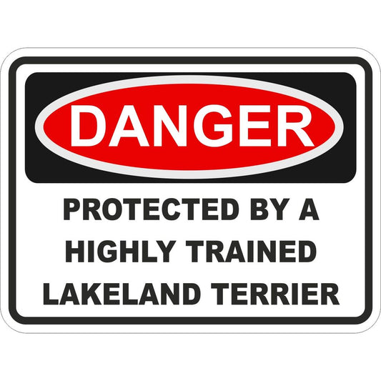 Lakeland Terrier