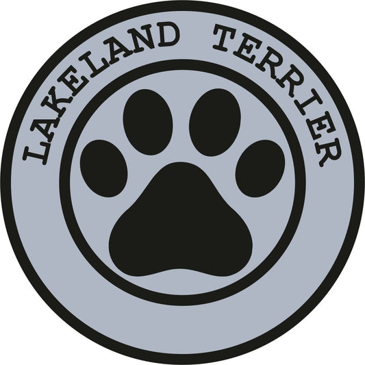 Lakeland Terrier