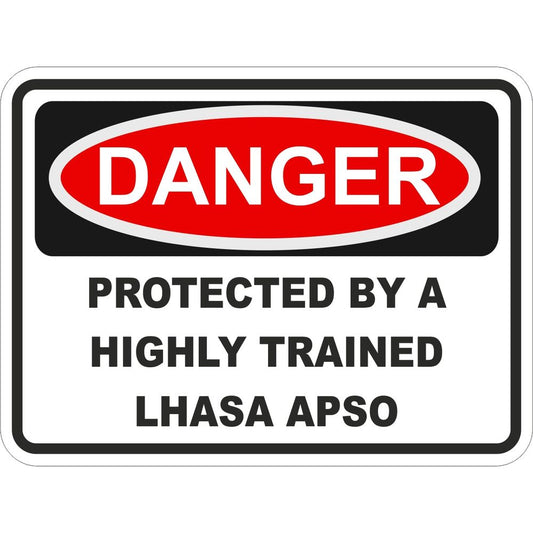 Lhasa Apso