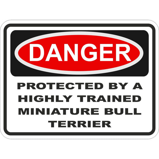 Miniature Bull Terrier
