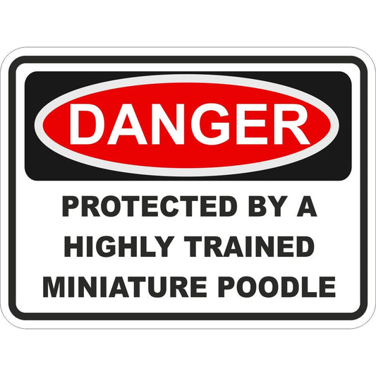 Miniature Poodle