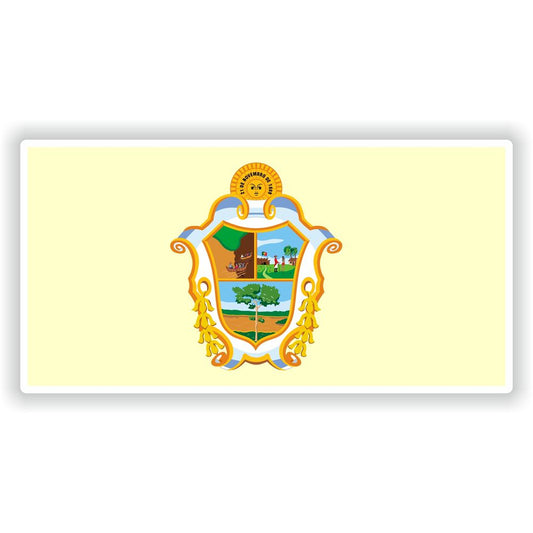Manaus Amazonas Flag