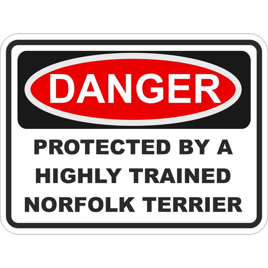 Norfolk Terrier