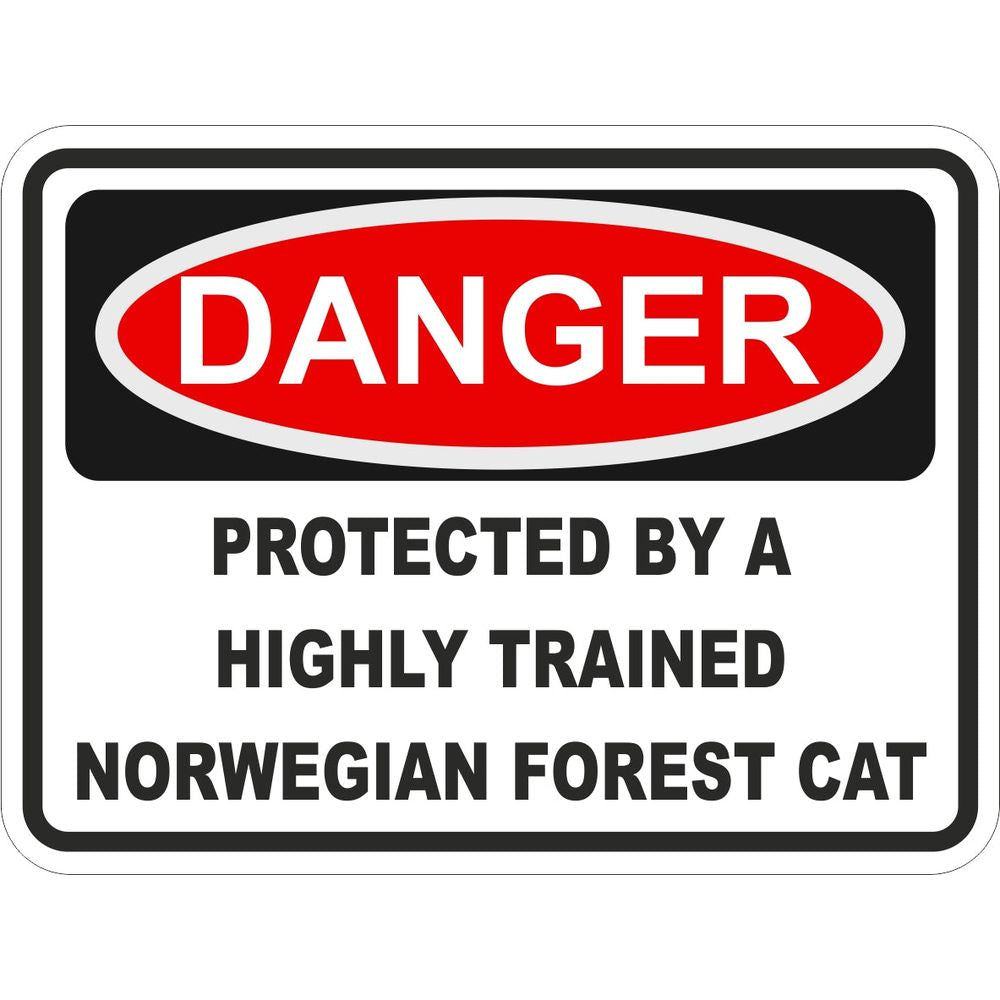 Norwegian Forest Cat