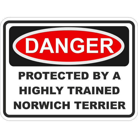 Norwich Terrier