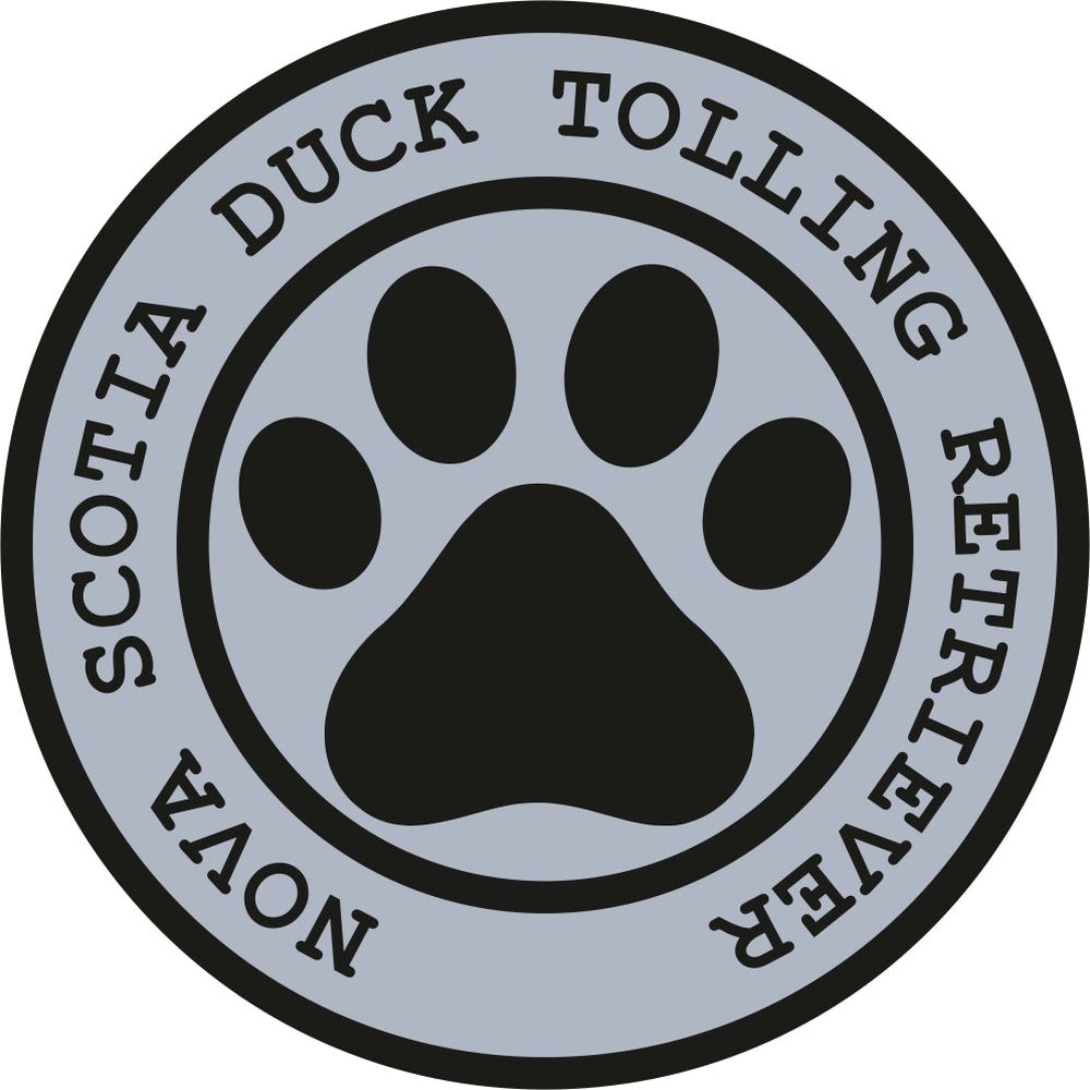 Nova Scotia Duck Tolling Retriever