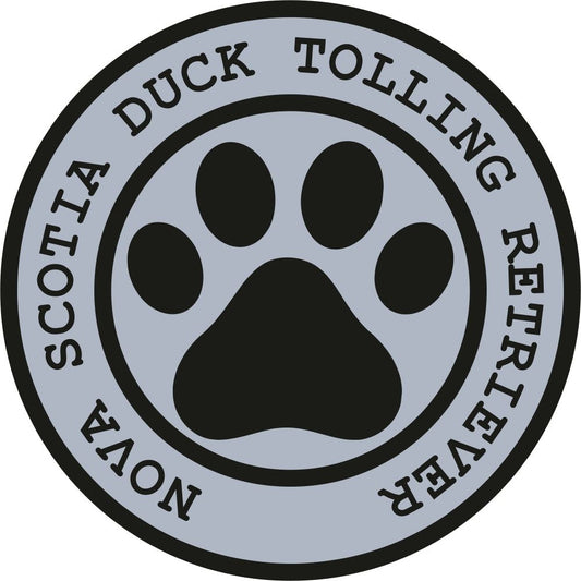 Nova Scotia Duck Tolling Retriever