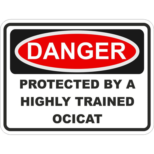 Ocicat