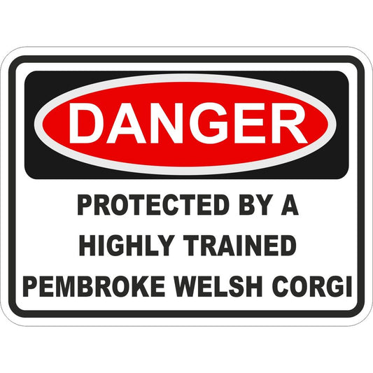 Pembroke Welsh Corgi