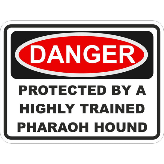 Pharaoh Hound