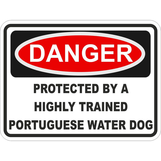 Portuguese Water Dog