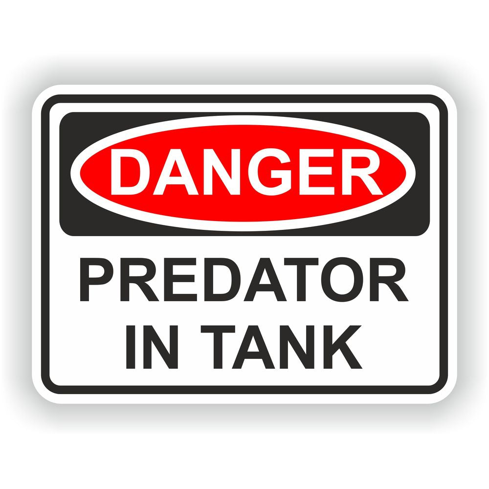 Predator In Tank