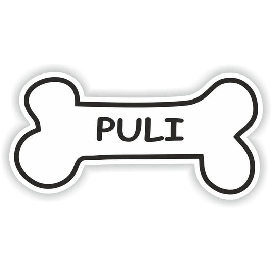 Puli