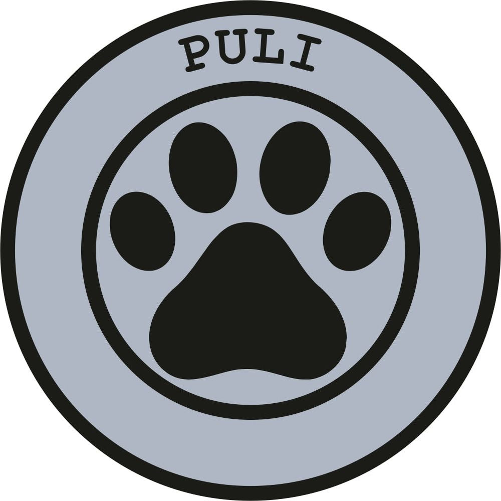 Puli