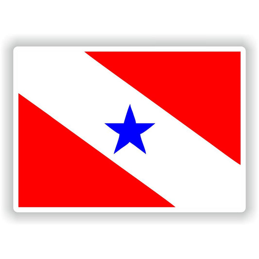 Para Flag