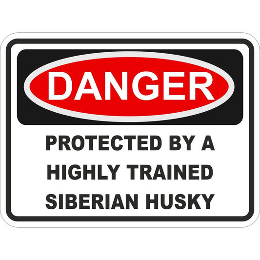 Siberian Husky