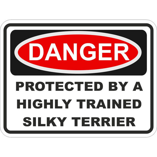 Silky Terrier