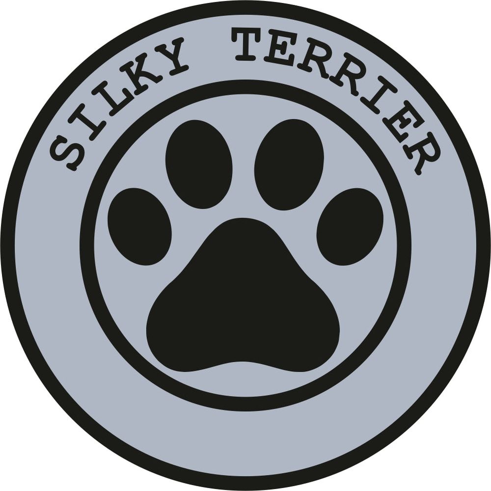 Silky Terrier