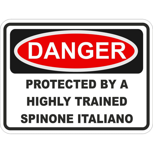 Spinone Italiano