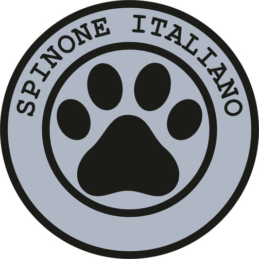 Spinone Italiano