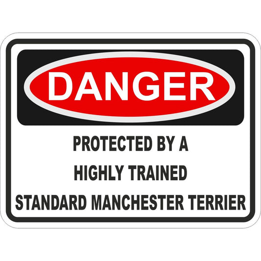 Standard Manchester Terrier