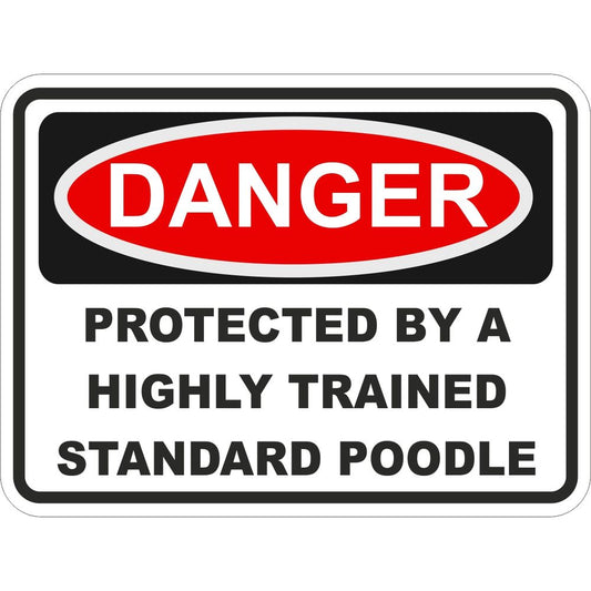 Standard Poodle