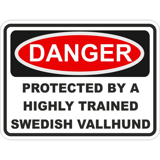 Swedish Vallhund