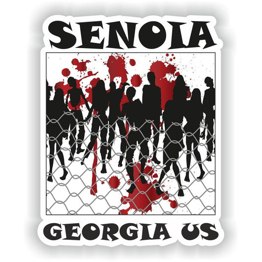 Senoia Georgia Us Flag
