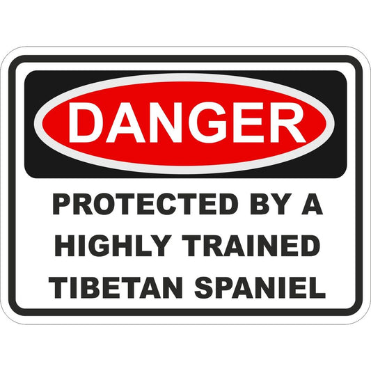 Tibetan Spaniel