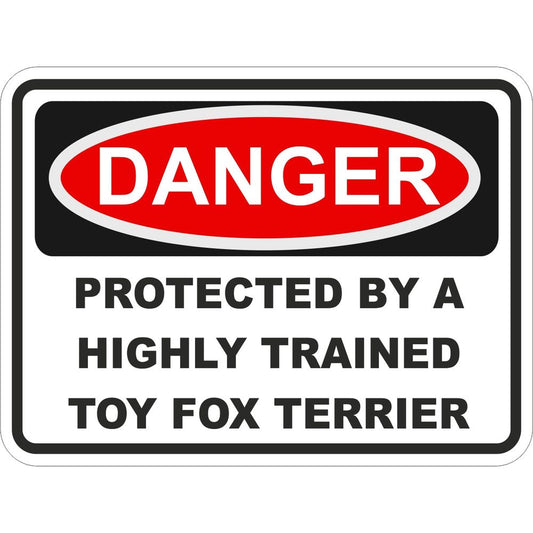 Toy Fox Terrier