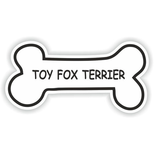 Toy Fox Terrier