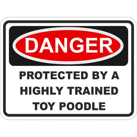 Toy Poodle