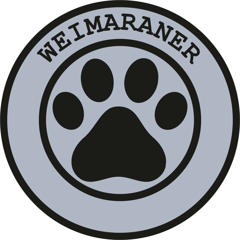 Weimaraner